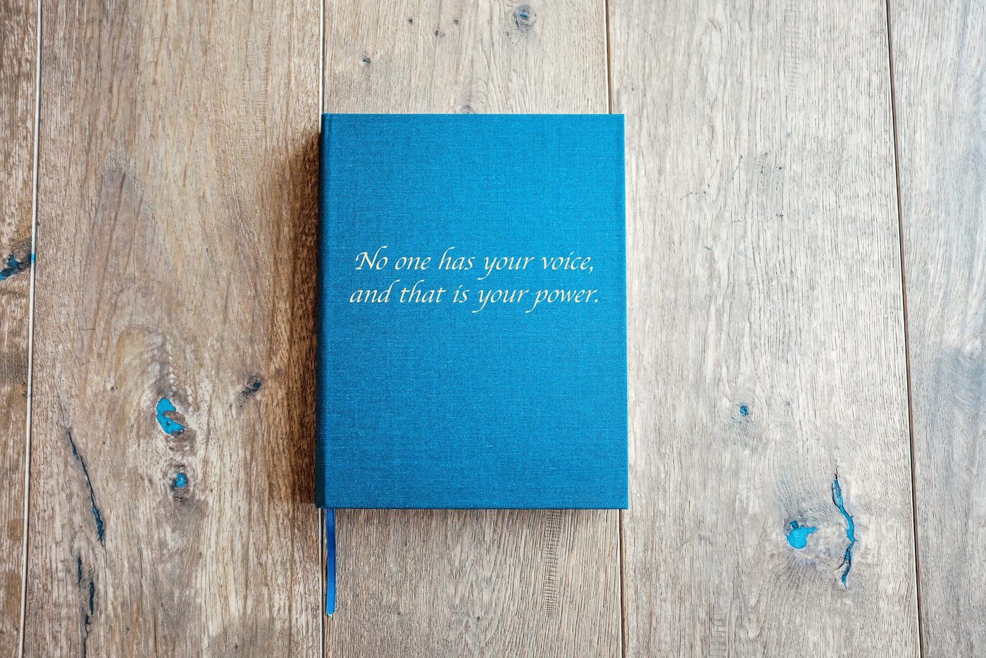 A blue clothbound notebook on a wooden table, its cover reading: No one has your voice, and that is your power.